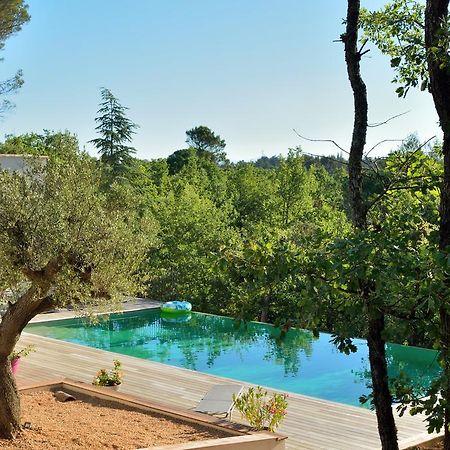 Sous Les Oliviers - Piscine Chauffee - Studios De Standing Tout-Equipes Saint-Maximin Exteriör bild