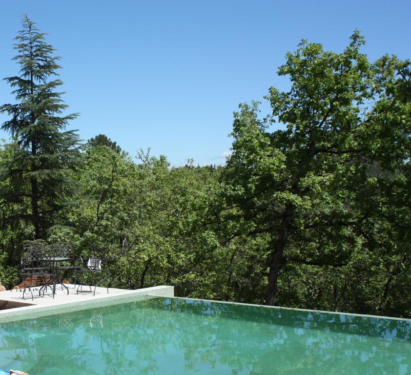 Sous Les Oliviers - Piscine Chauffee - Studios De Standing Tout-Equipes Saint-Maximin Rum bild