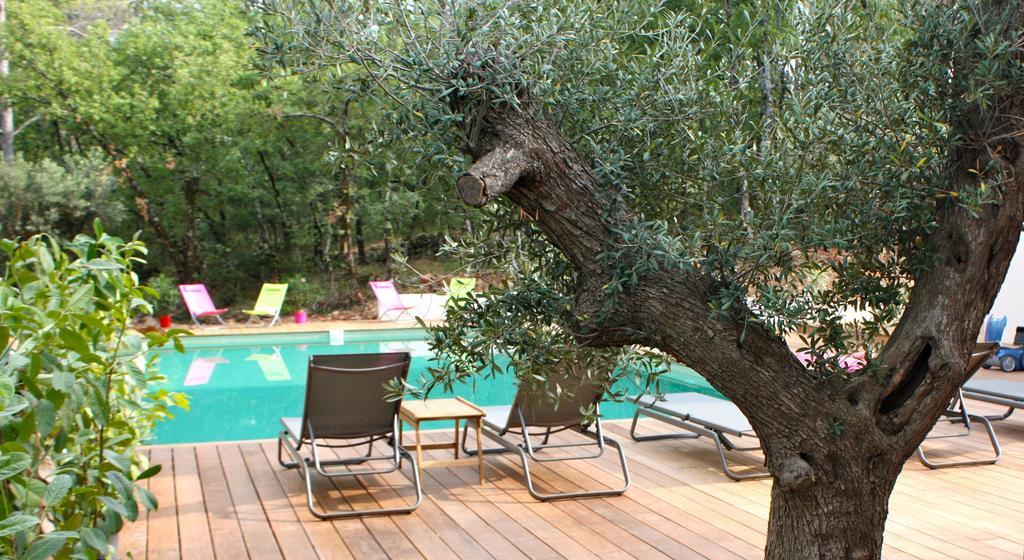 Sous Les Oliviers - Piscine Chauffee - Studios De Standing Tout-Equipes Saint-Maximin Rum bild
