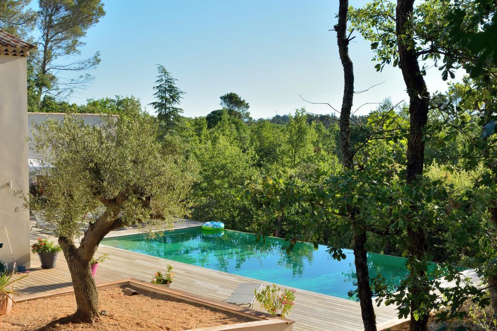 Sous Les Oliviers - Piscine Chauffee - Studios De Standing Tout-Equipes Saint-Maximin Exteriör bild