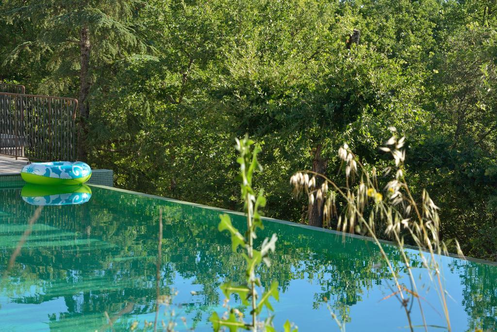 Sous Les Oliviers - Piscine Chauffee - Studios De Standing Tout-Equipes Saint-Maximin Exteriör bild