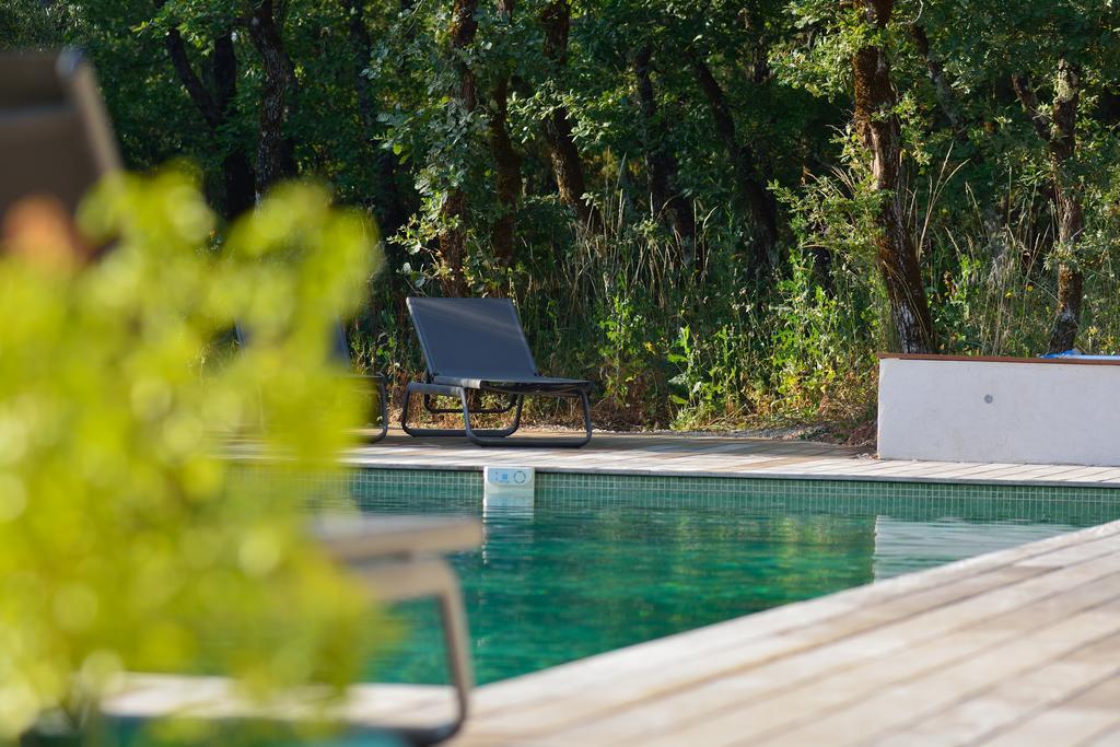 Sous Les Oliviers - Piscine Chauffee - Studios De Standing Tout-Equipes Saint-Maximin Exteriör bild